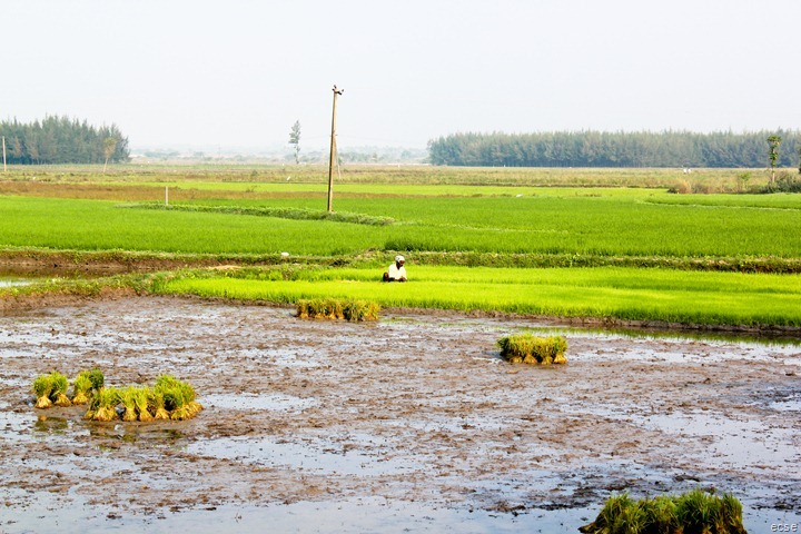 India 180 India 180