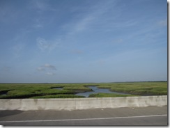 Marsh view from Isle of Palms Connector