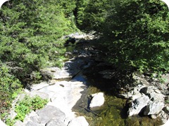 View of the West Fork