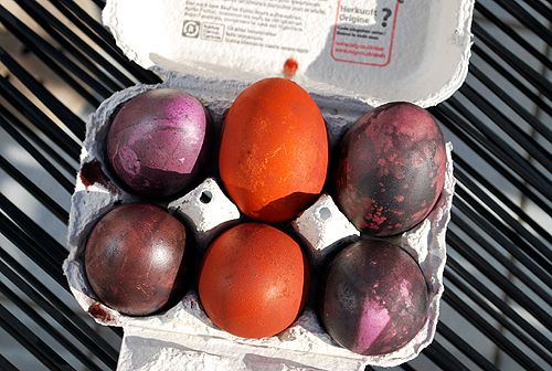 Easter Egg Dying with Expat Kochen