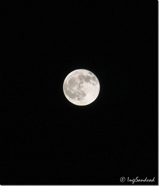 månen - 21-12-2010 18.19