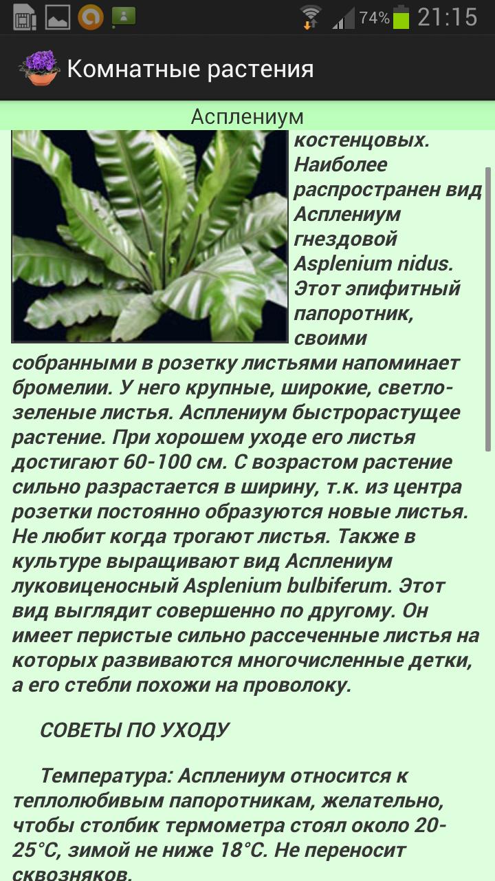 Комнатные растения (Премиум) Screen 3