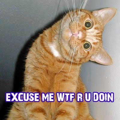 [WPBYgPZlvpdmaspw5ERIsvxeo1_400[2].jpg]