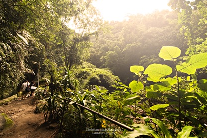 The Leafy Path to Majayjay's Taytay Falls