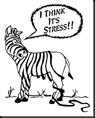 Stress-ZebraStripes