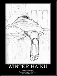 winter-haiku-winter-haiku-cold-sleeping-bed-demotivational-poster-1258942663