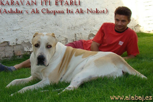etarli%20srpen%2009.jpg