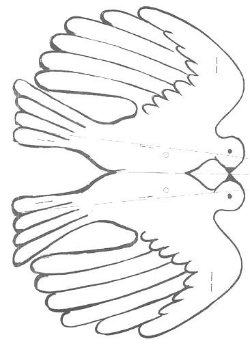 palomas paz (11)