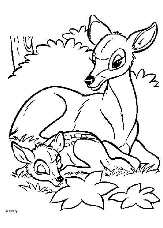 Bambi-Dibujos-Para-Colorear-01
