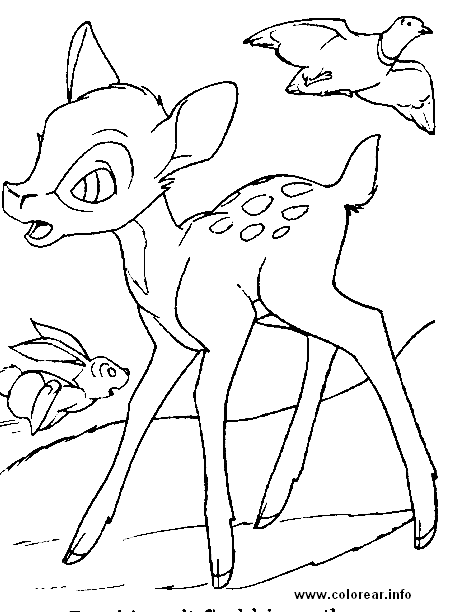 bambi-pajaro-conejo