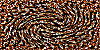 [amanda20511[2].gif]