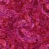 [th_300f1[2].gif]