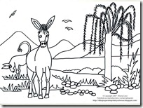 burro (2)