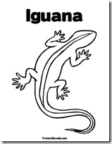 iguana blogcolorear (5)
