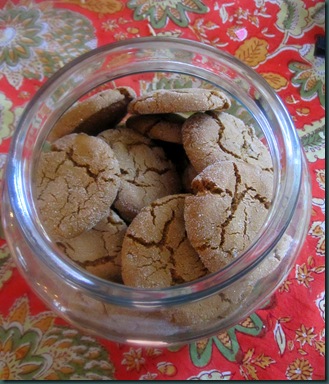 ginger cookies truffles 041