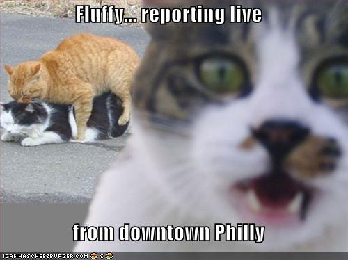 funny-pictures-reporting-live-philly.jpg