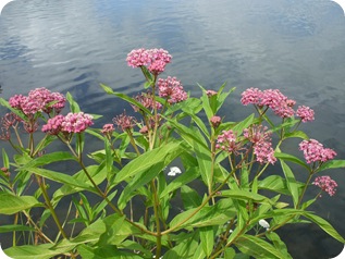 DSCF1462