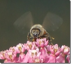 DSCF1476