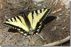 DSCF0905