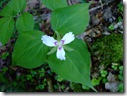 DSCF0916