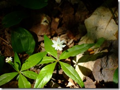 DSCF0989