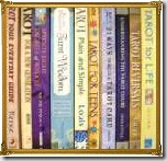 Bookshelf4-1Resizedto25originalsize-with frame