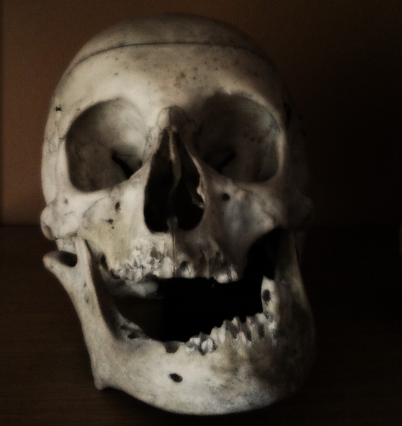 [skull[7].jpg]