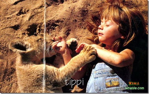 Book livro Tippi pequena garota e sua amizade com Animais selvagens  (14)