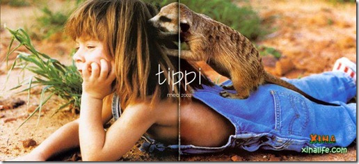 Book livro Tippi pequena garota e sua amizade com Animais selvagens  (18)