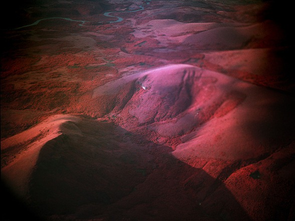 Infrared-Photography-by-Richard-Mosse-10