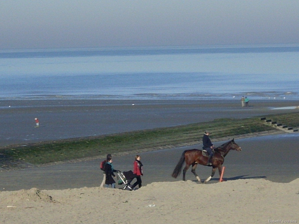 [cheval sur la plage[6].jpg]