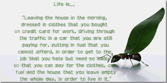 What Life Means?