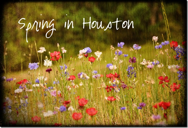 Spring in Houston