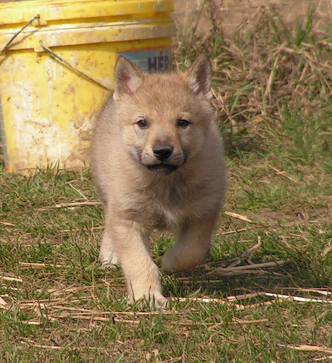 PICT0045.JPG