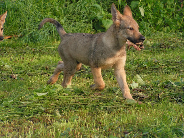 PICT0067.JPG