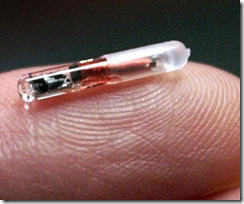 Implantable chip