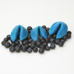 [blueberry-fortune-cookies[3].jpg]