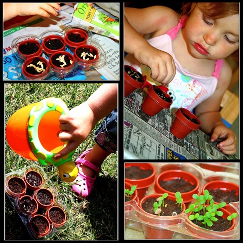 [plantingcollage3.jpg]