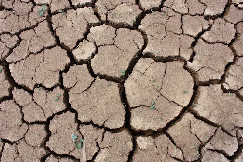 Подмосковная пустыня - карьер в Сычево.