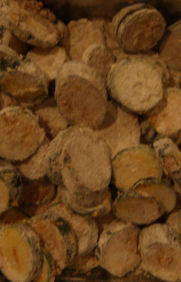 http://lh4.ggpht.com/_t_ujyXPvS2U/TPK7MVWEl4I/AAAAAAAAAPs/6Ddw0QHautw/Zuchini_Lebensmittelindustrie_klein.jpg