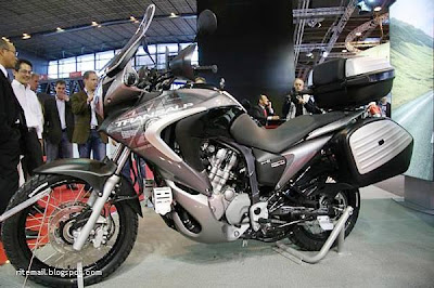2009 Bike models-KAWASAKI Ninja 250R.jpg
