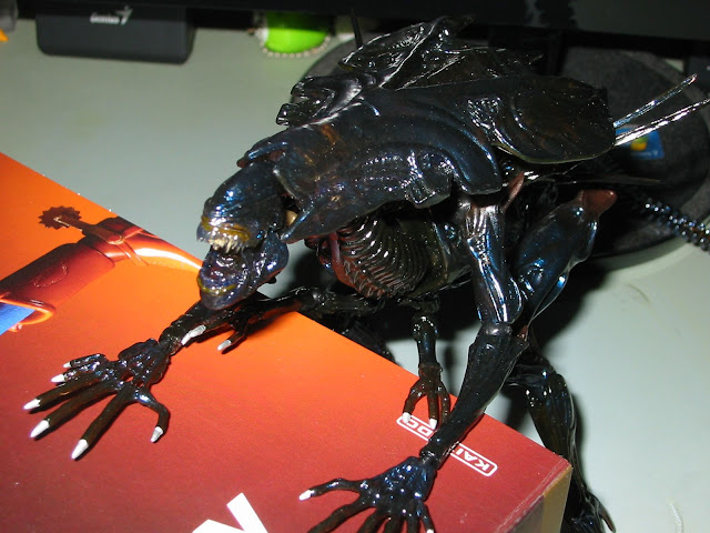 03shf-dark kiva,海洋堂-异形母后一入.