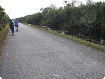 Everglades Highway 031