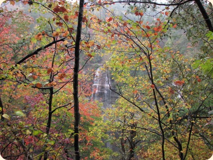 Fall Creek Falls SP 094