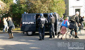 pol9.jpg