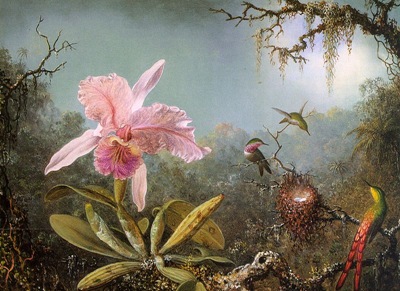 Cattelya-Orchid-and-Three-Brazilian-Hummingbirds-1871