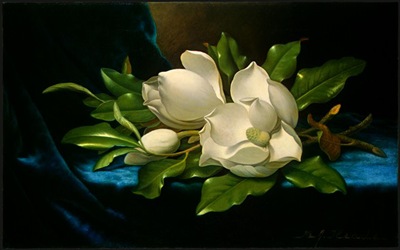 Giant-Magnolias-on-a-Blue-Velvet-Cloth-1890