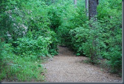 Meadowlark Gardens Trail