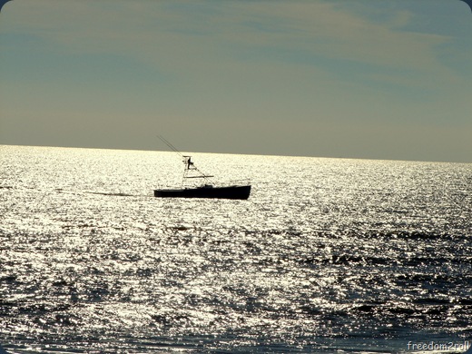 boat in the ocean[12]