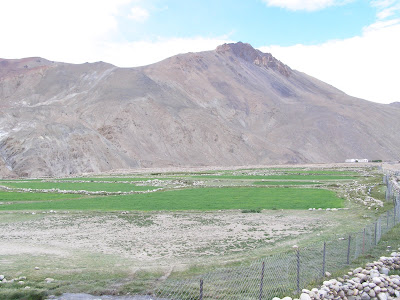 Landscape while riding to Upshi